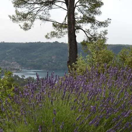 Villa Panoramic View Esparron-de-Verdon