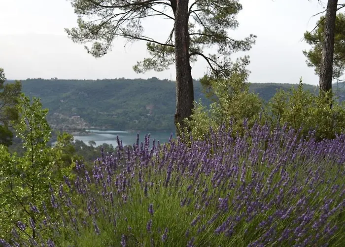 וילה Panoramic View אספארו-דה-ורדו